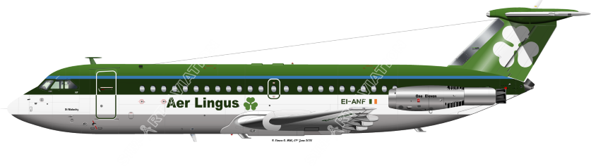 aer lingus flights to ireland from uk